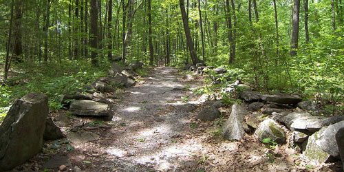 Hiking Trail 500x250 - America's Stonehenge - Salem, NH